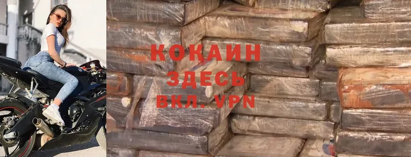 кракен tor  Городовиковск  Cocaine 99%  как найти закладки 